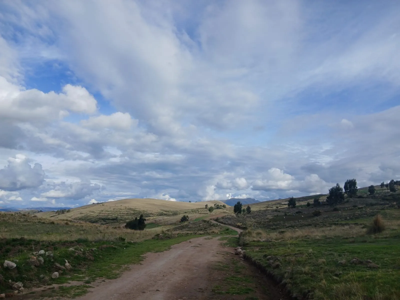 Trocha para cicloturismo entre lomas y pastizales de la puna en Pomabamba, Ayacucho