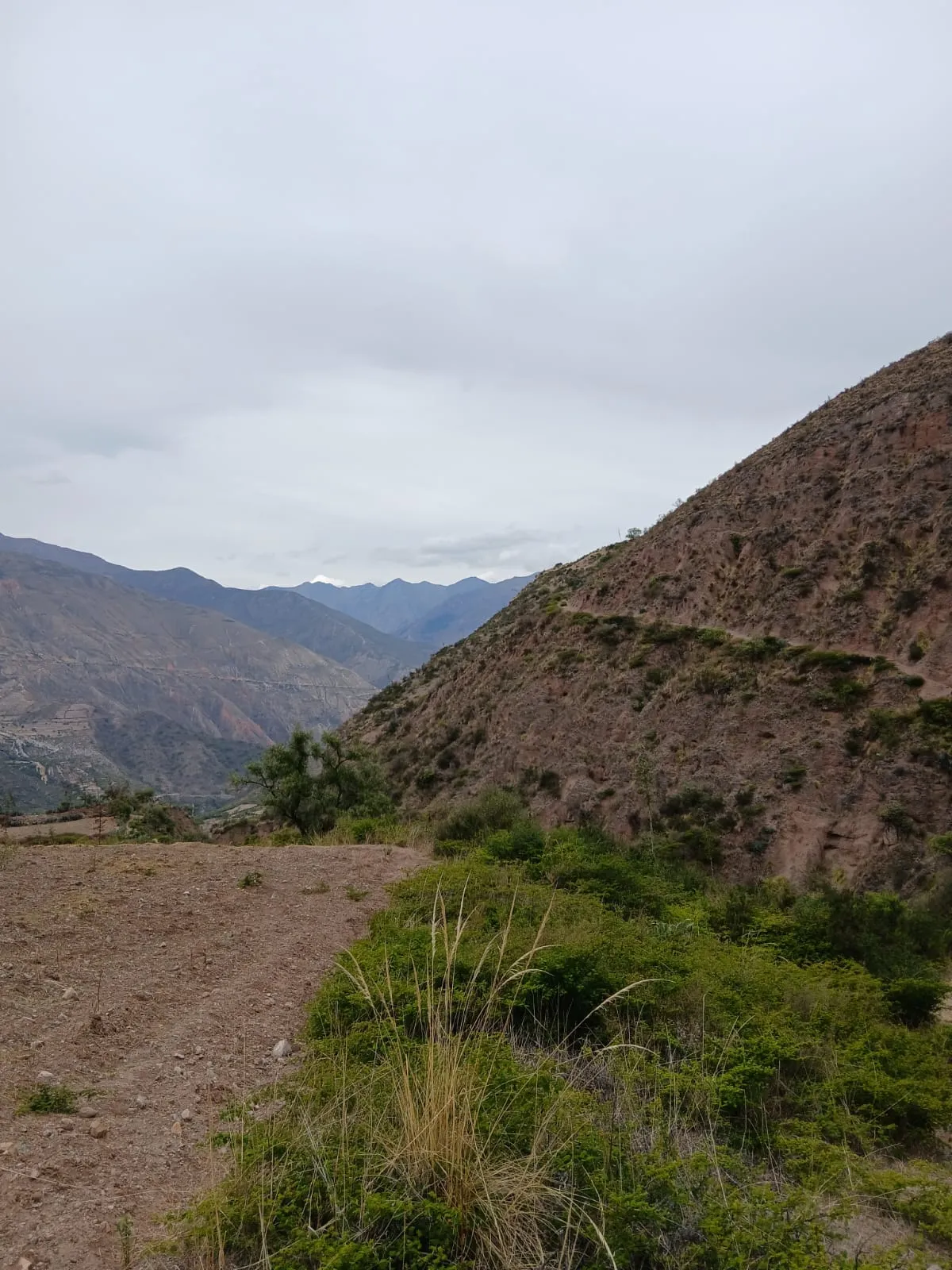 Camino de herradura hacia Unya, ruta de trekking en Pomabamba, Ayacucho